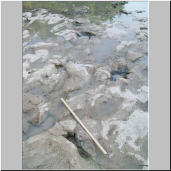 100_0216 (2009-24-07).JPG